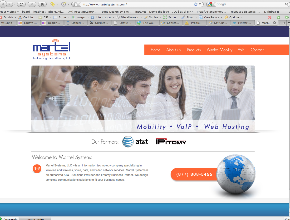 Websites Design - Sample from Metamusephosis